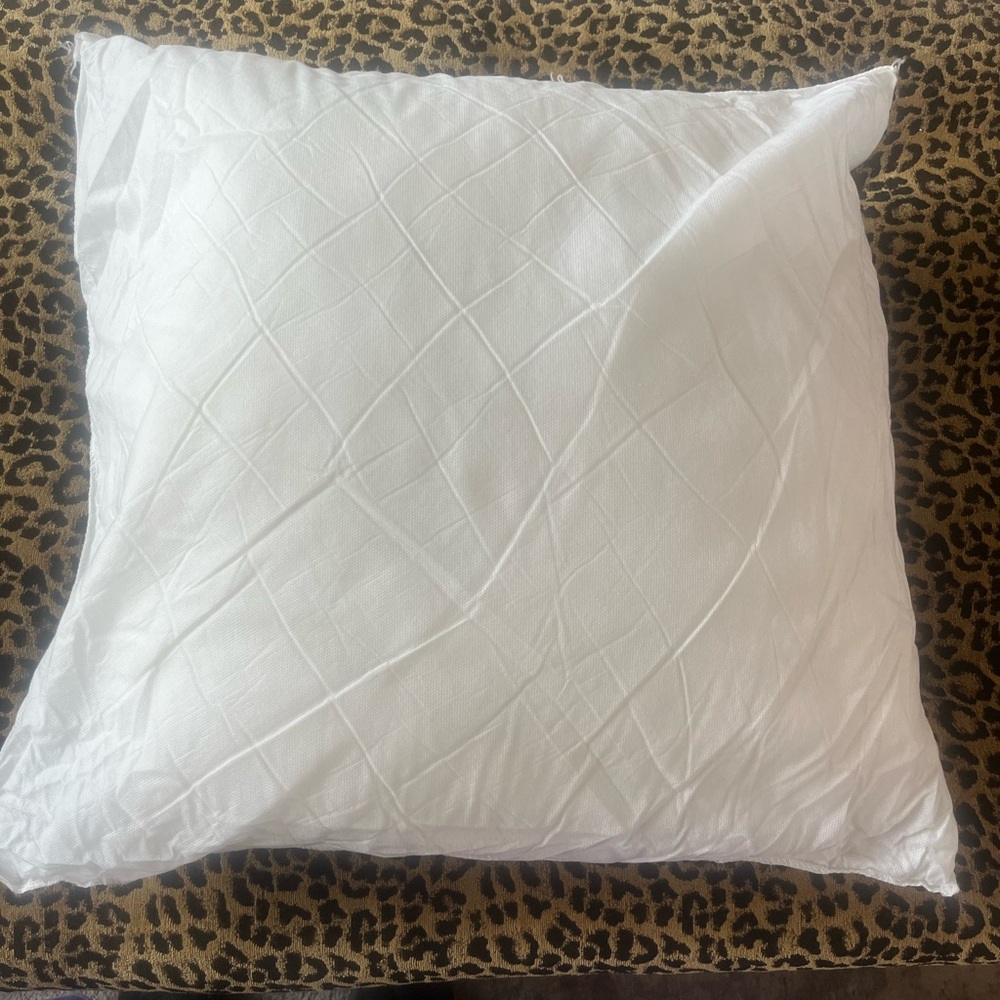 Pillow Insert 20x20